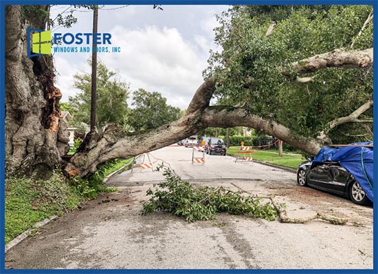 Hurricane Safety Tips 